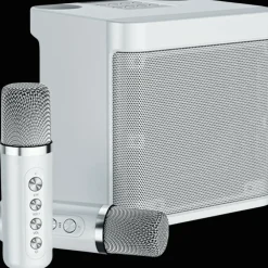 YS-203 KTV Karaoke Set met Draadloze Microfoons