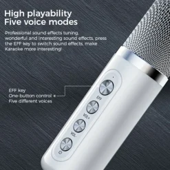YS-203 KTV Karaoke Set met Draadloze Microfoons