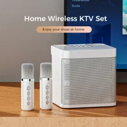 YS-203 KTV Karaoke Set met Draadloze Microfoons