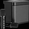 YS-203 KTV Karaoke Set met Draadloze Microfoons