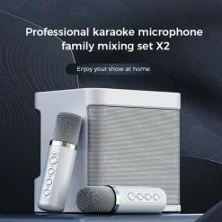 YS-203 KTV Karaoke Set met Draadloze Microfoons