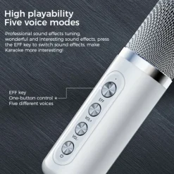 YS-203 KTV Karaoke Set met Draadloze Microfoons
